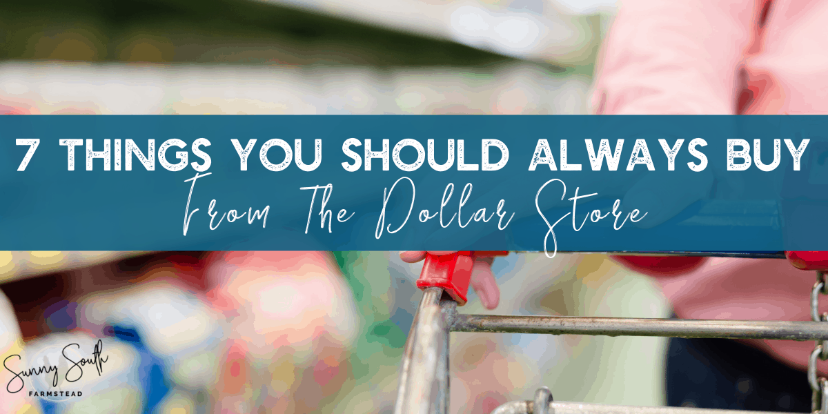7 Things You Should Always Buy From The Dollar Store - Living Bite